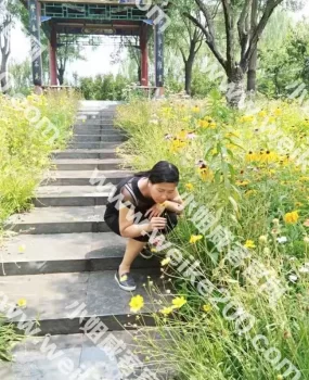 南二环贴心少妇型青熟女