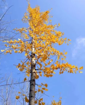 刚毕业工作兼职